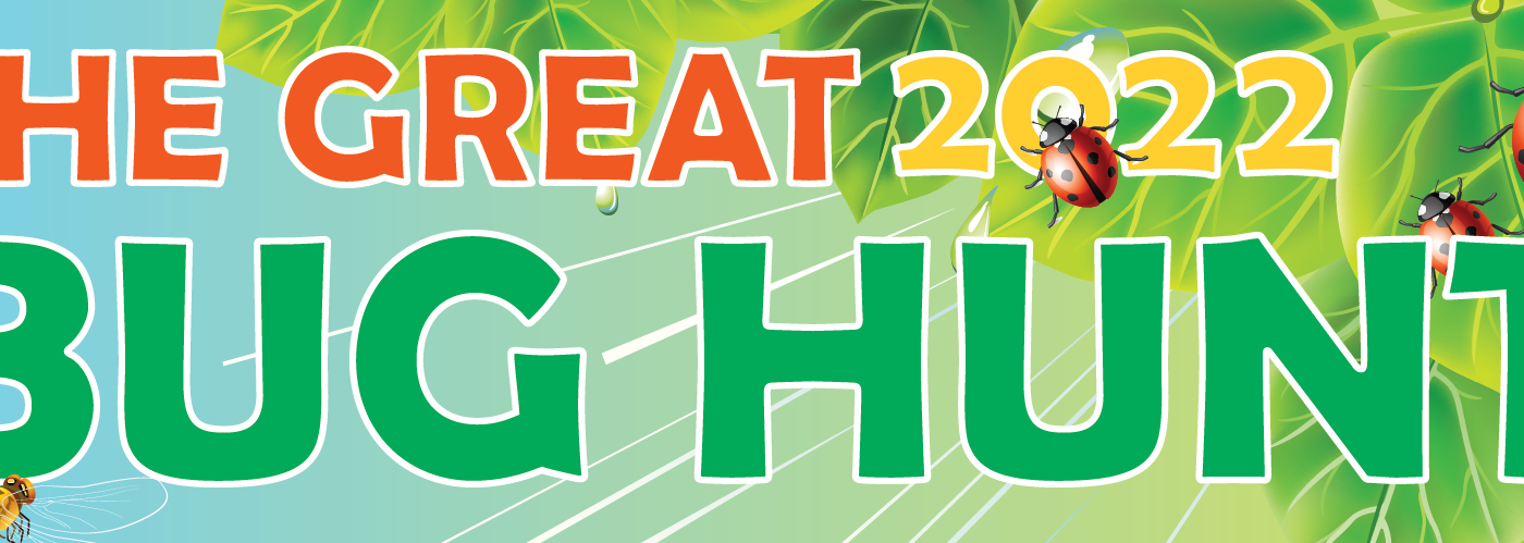 Great Bug Hunt 2022 logo