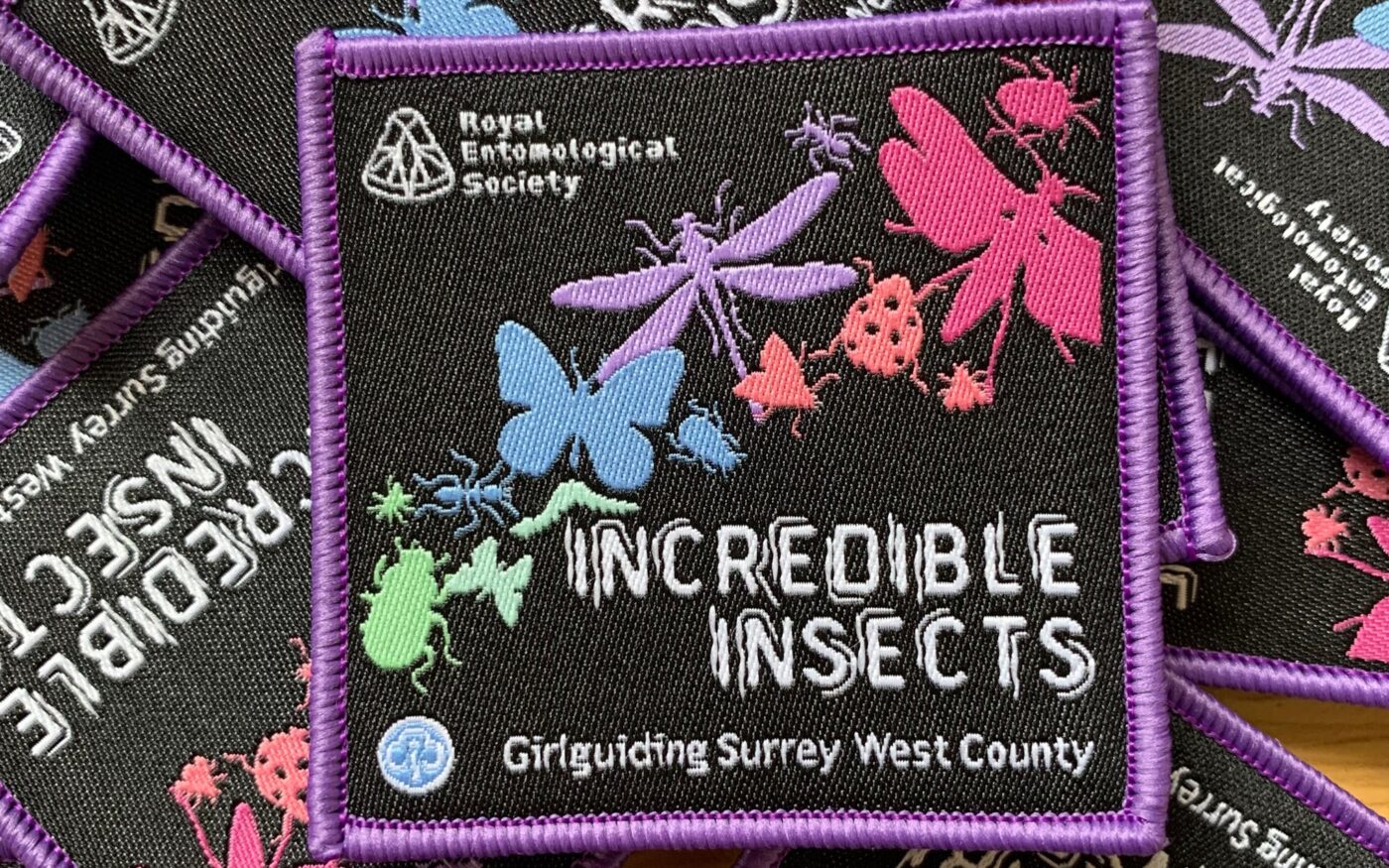 Material badges for Incredible Insects challenge badge