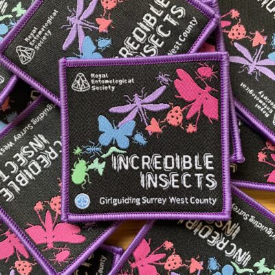 Material badges for Incredible Insects challenge badge