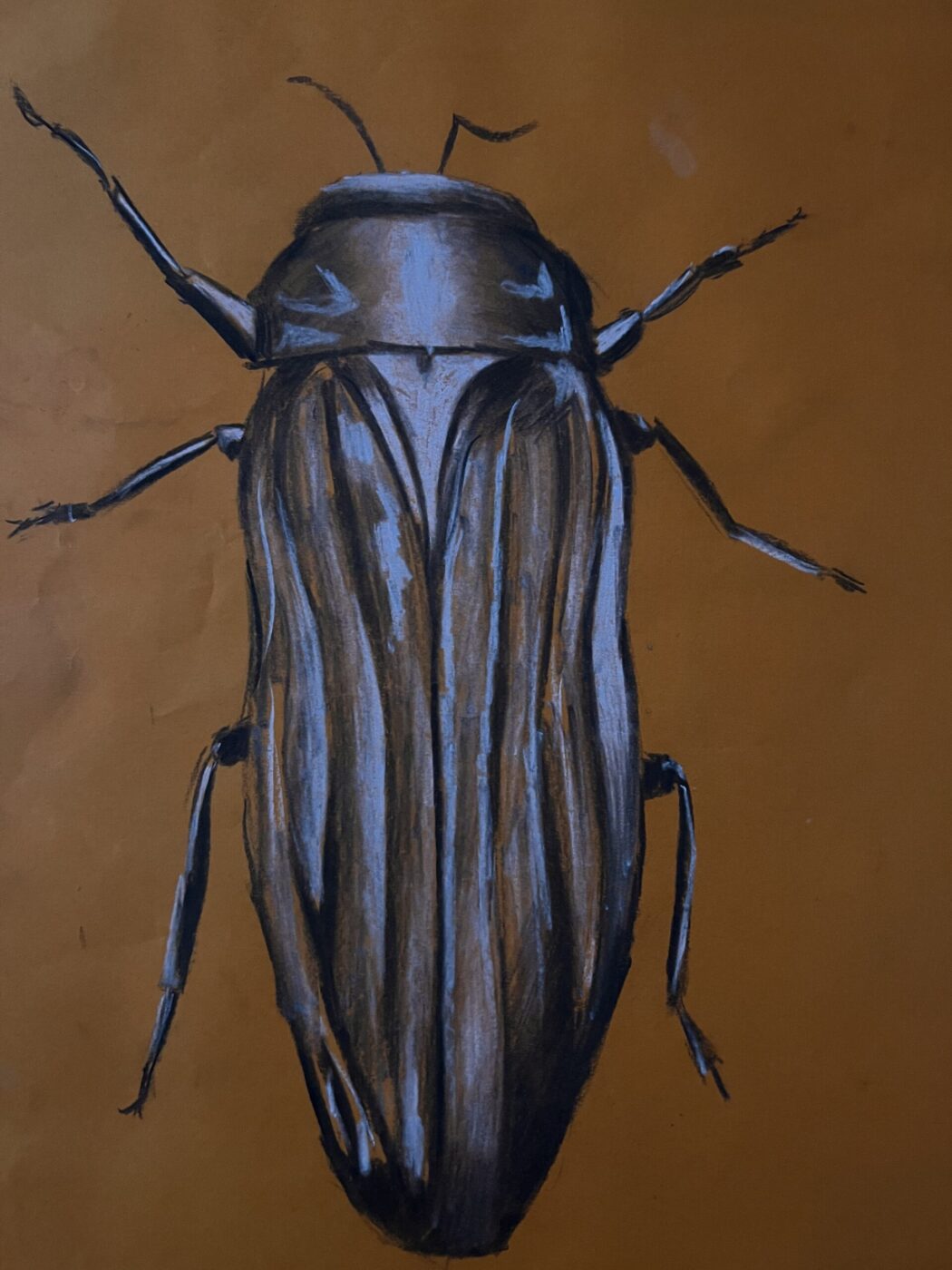 On the Move by Siyona Bhandari, Highly Commended in age 13-18 category, Insect Week 2022 art competition.