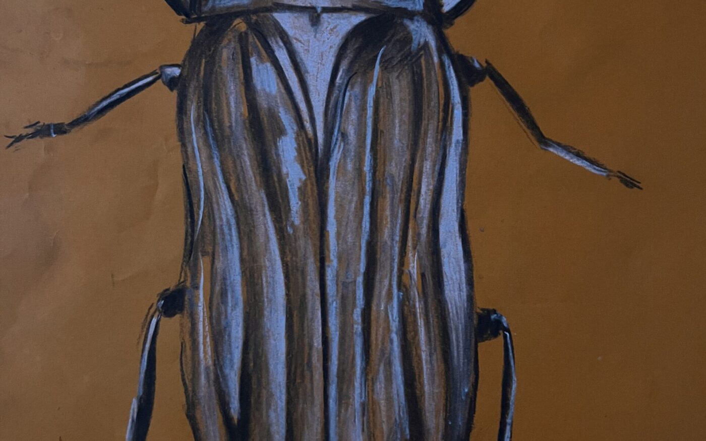 On the Move by Siyona Bhandari, Highly Commended in age 13-18 category, Insect Week 2022 art competition.