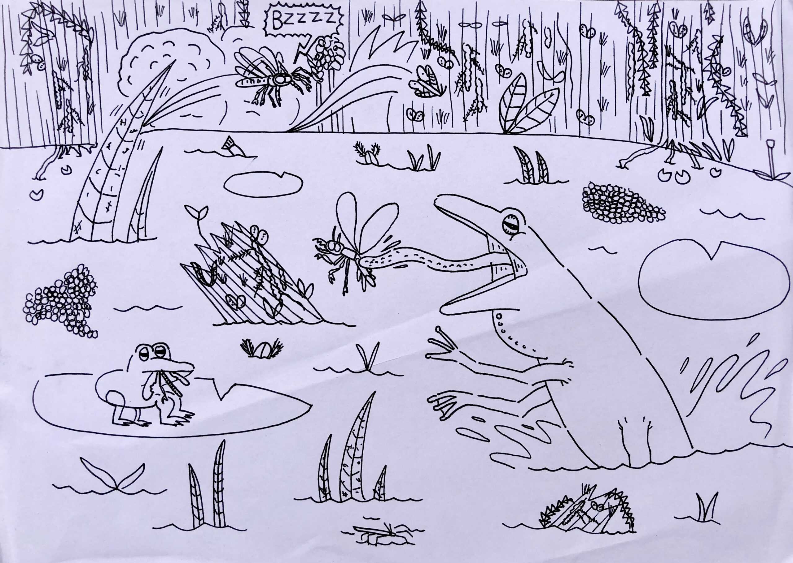 Predators at the Swamp by Isaac Turtle, Winner of Moving Insects category, Insect Week 2022 art competition