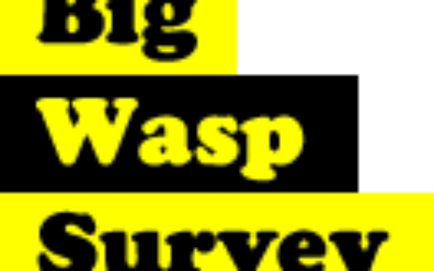 Big Wasp Survey logo