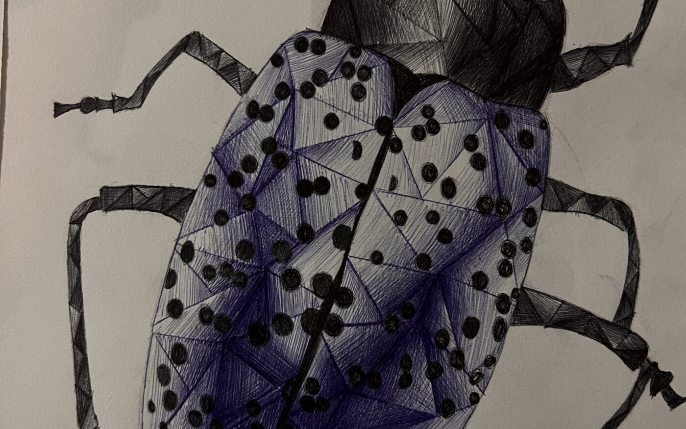 On the Move by Siyona Bhandari, 2nd place in 13-18 category, Insect Week 2022 art competition