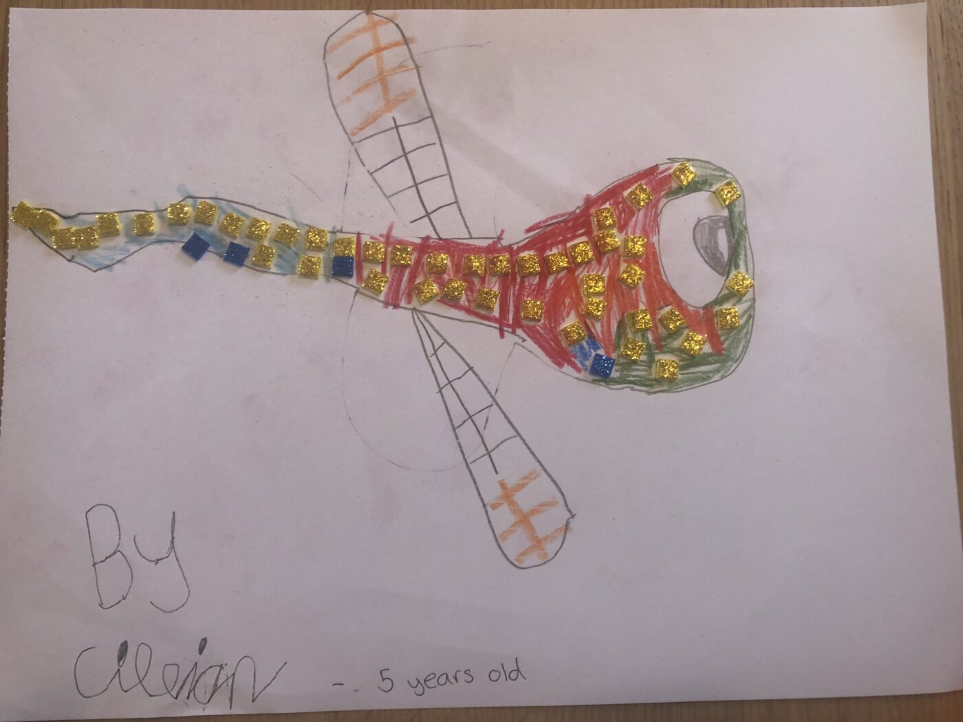 Dragonfly Sparkle by Cillian Farrell, 1st place in age 3-7 category, Insect Week 2022 art competition