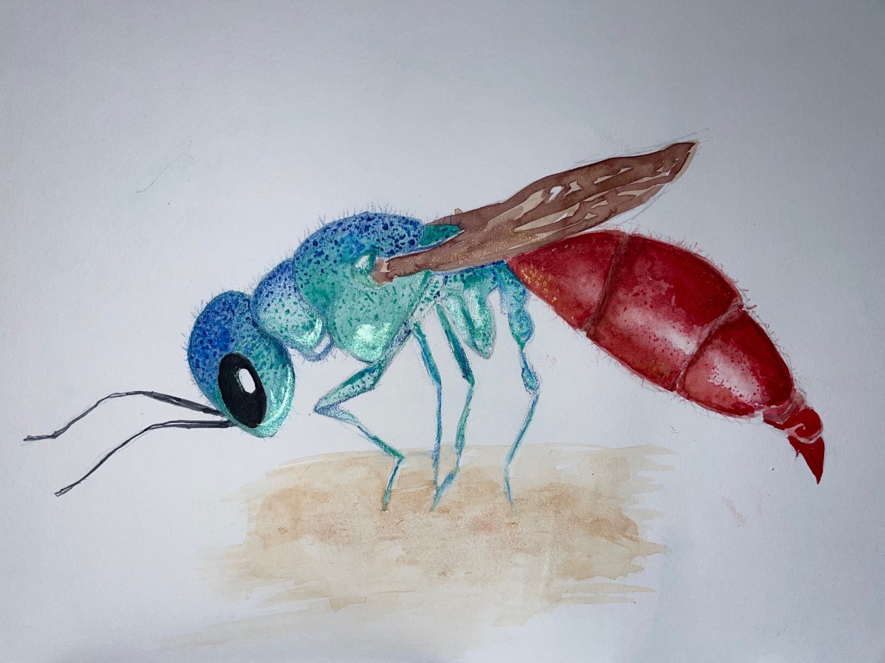 Fragment of Beauty by Alexandria Coen, 1st place in 13-18 category, Insect Week 2022 art competition