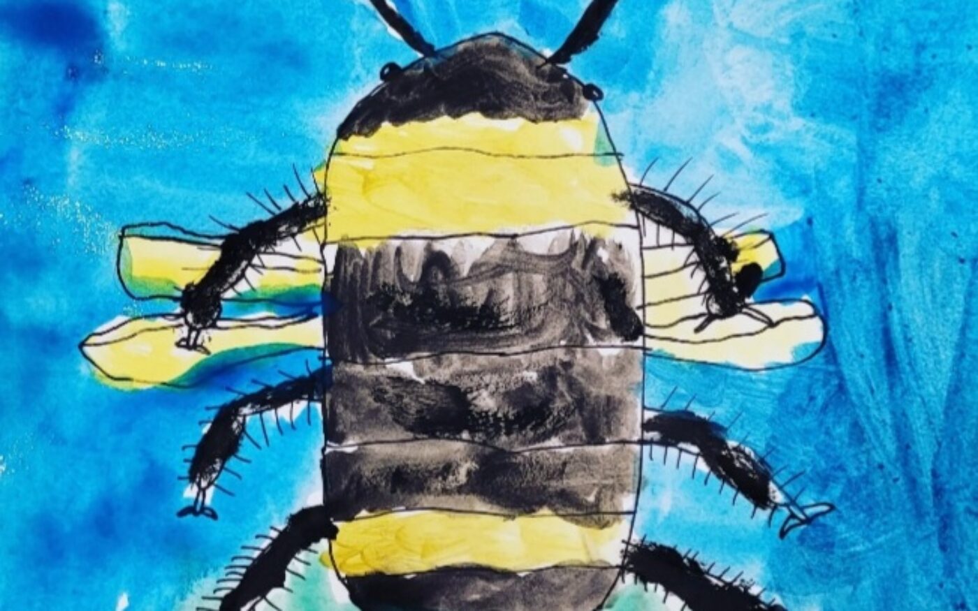 Big and Brightly Coloured Bumble Bee by Aidan Warwick, winner of endangered insects category, Insect Week 2022 art competition