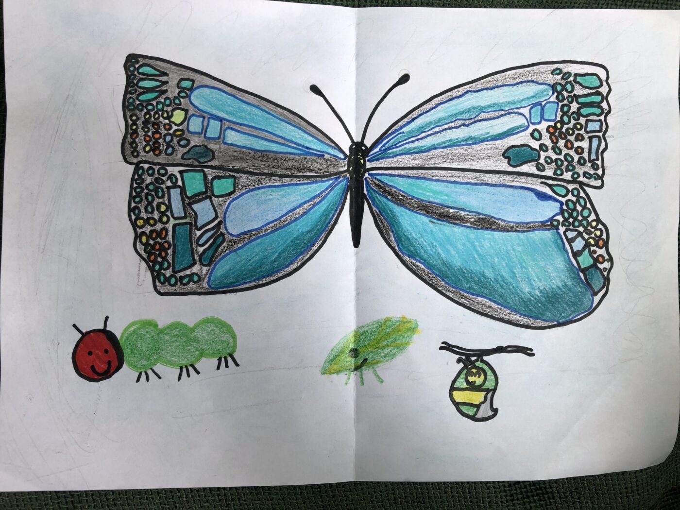 Life Style by Gustavo Juvenato, Highly Commended in age 3-7 category, Insect Week 2022 art competition