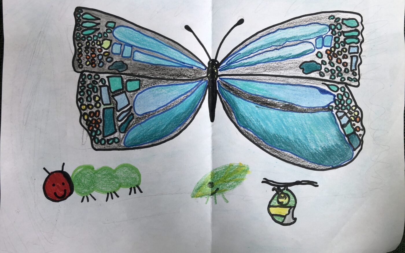 Life Style by Gustavo Juvenato, Highly Commended in age 3-7 category, Insect Week 2022 art competition