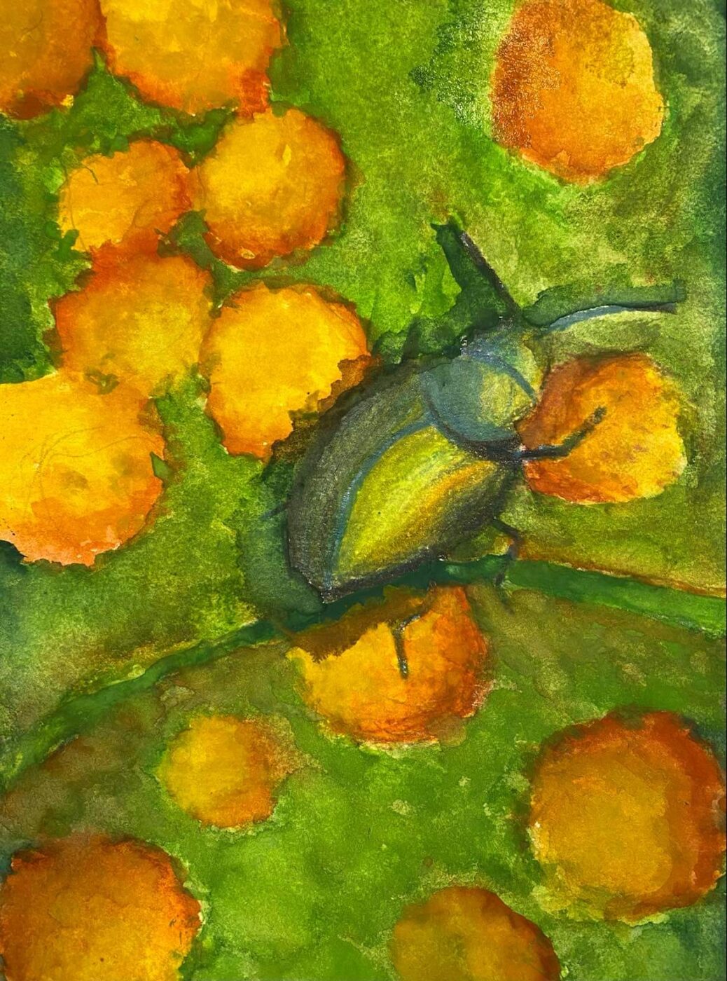 The Wonderful Tansy Beetle by Ellen Houldsworth, 3rd place in 8-12 category, Insect Week 2022 art competition