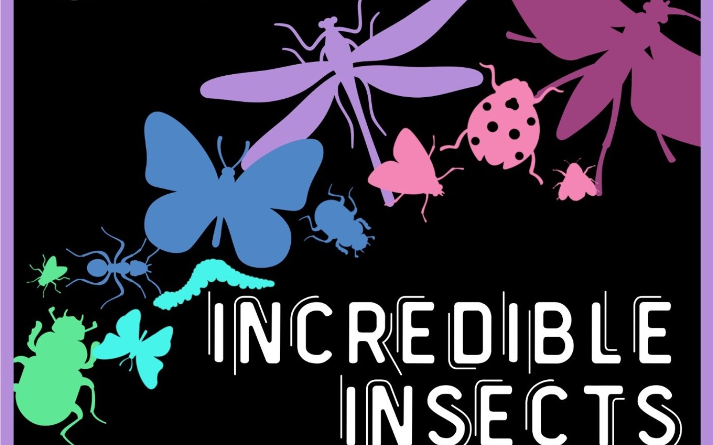 Incredible Insects badge design