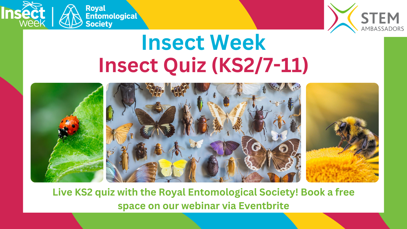 Insect Quiz for Insect Week! Insect Week