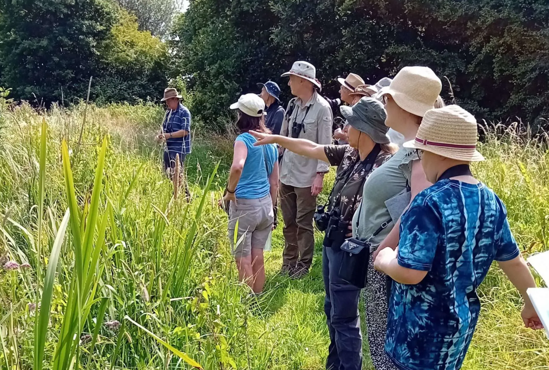 Foxearth Meadows Big Bug day