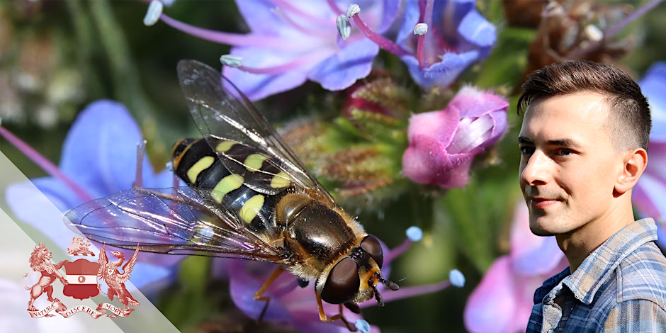 Discovering Insects - A Guided Walk Through Wandsworth Common with Connor Butler