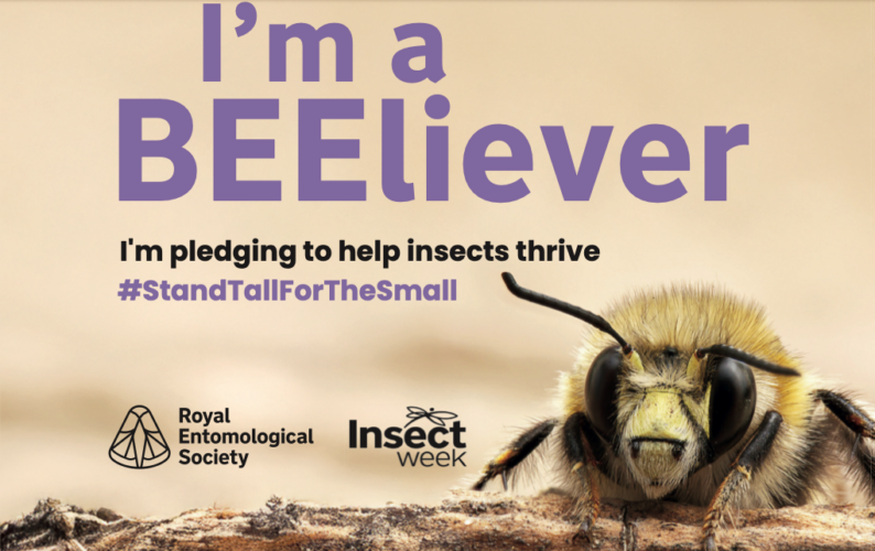I'm a BEEliever - Sign the Pledge for Insect Week
