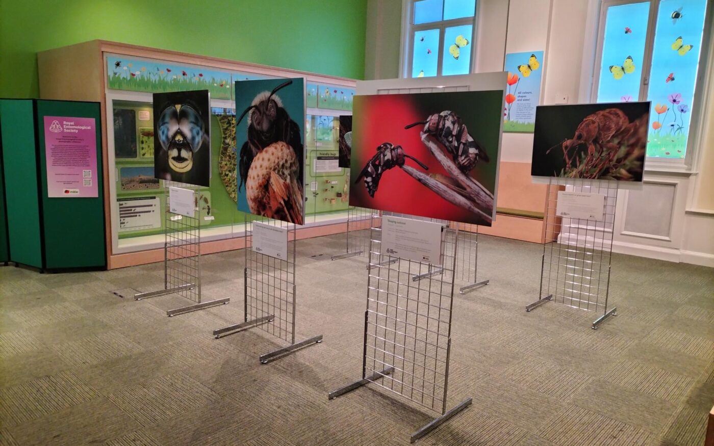 Royal Entomological Society Photo Exhibition