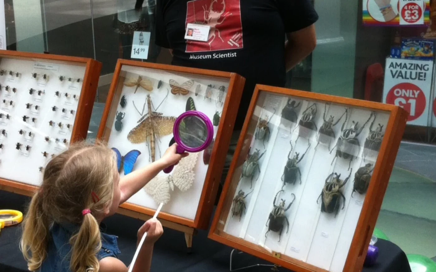 Insect at National Museum Cardiff