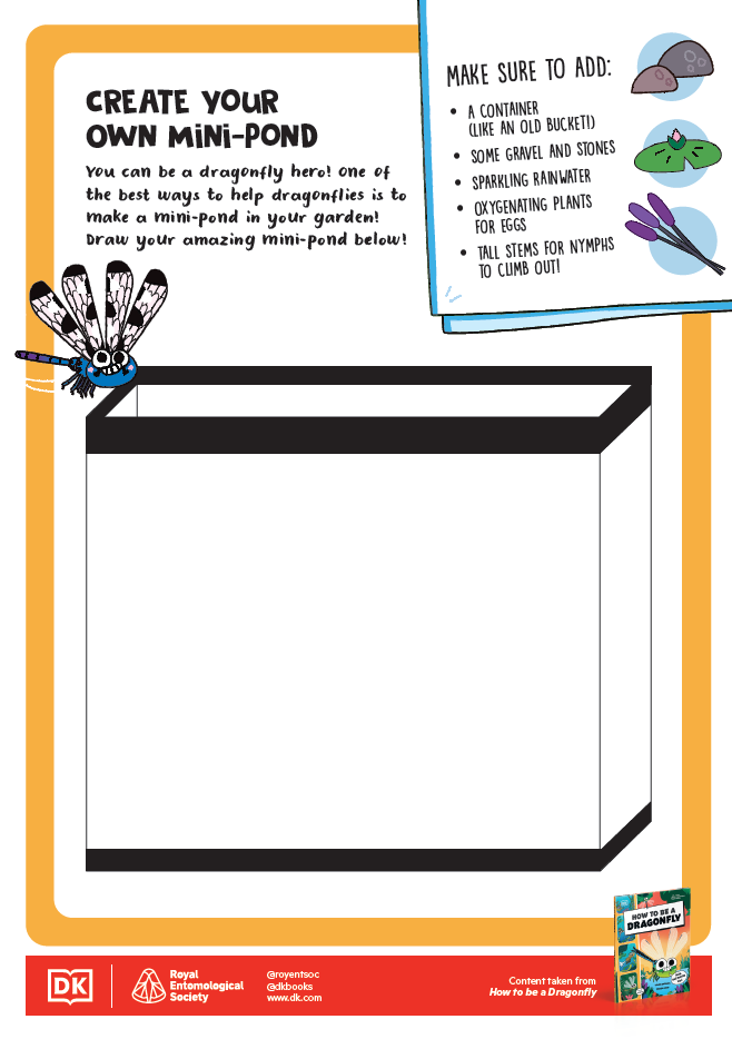 How to be an Insect Activity Sheets - 11 - Create your own Mini-Pond