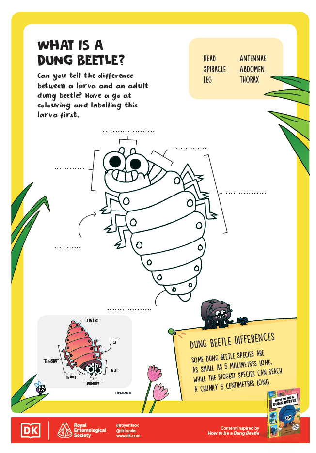 How to be an Insect Activity Sheets - 2 - What is a Dung Beetle 1