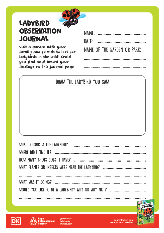 How to be an Insect Activity Sheets - 6 - Ladybird Observation Journal