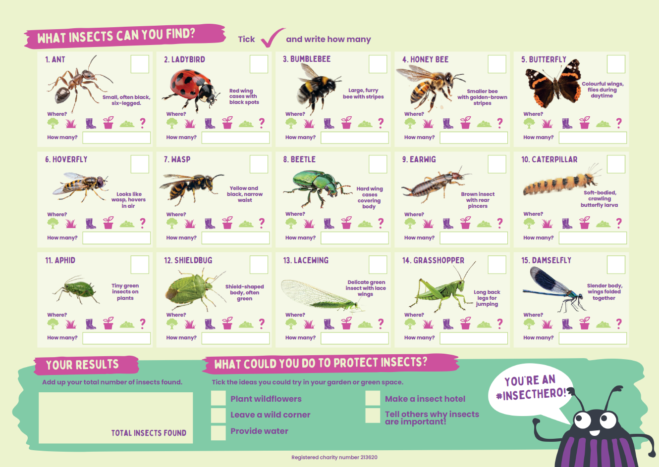 Insect Week 2026 Learning Resources KS2 - What insects did you find