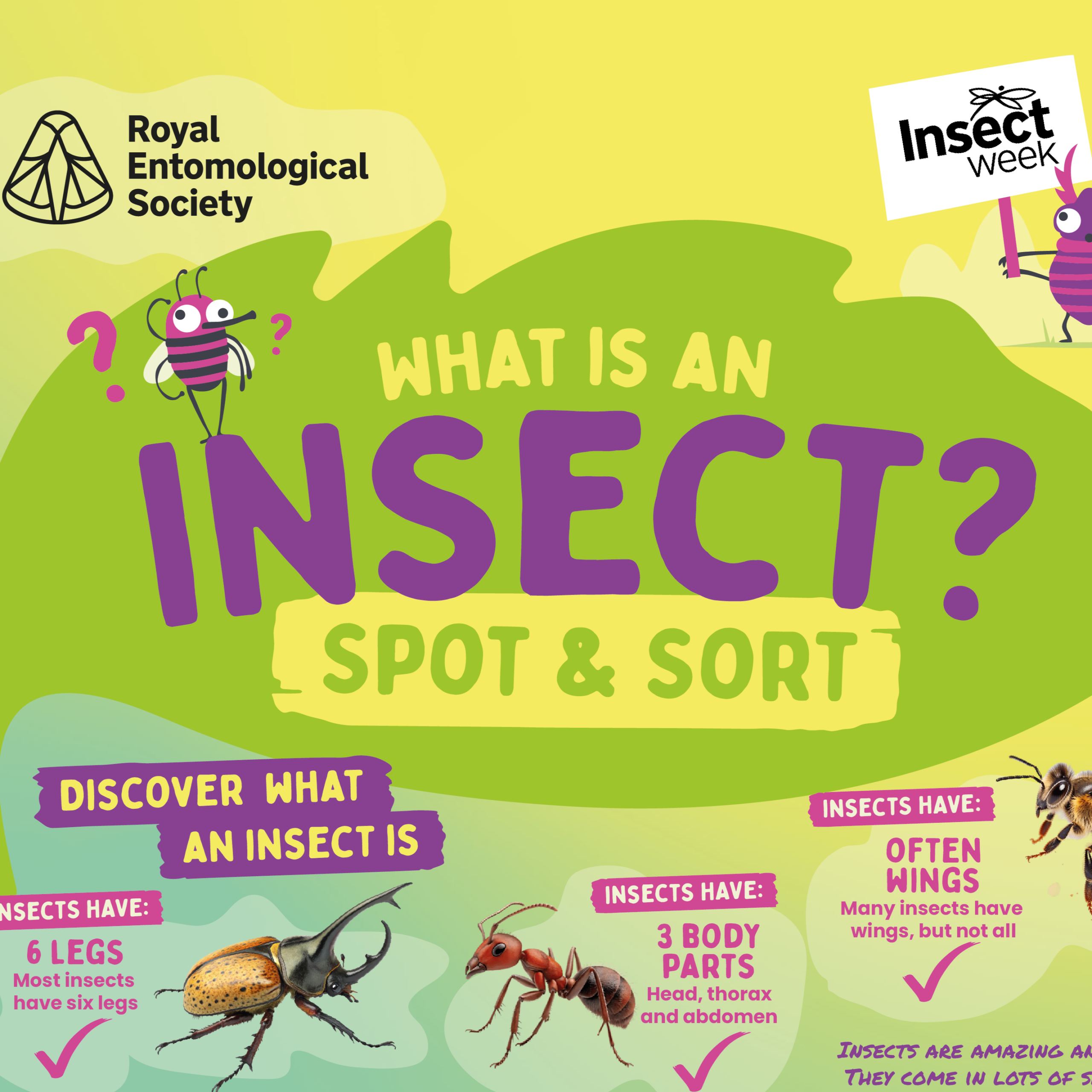 Free Insect Week Education Resources - Insect Week