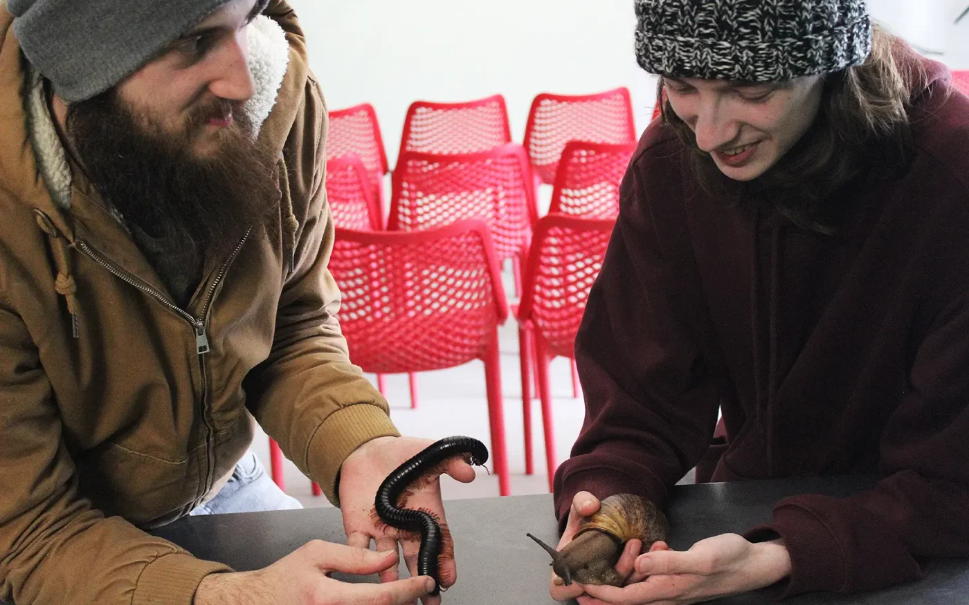 Insect handling