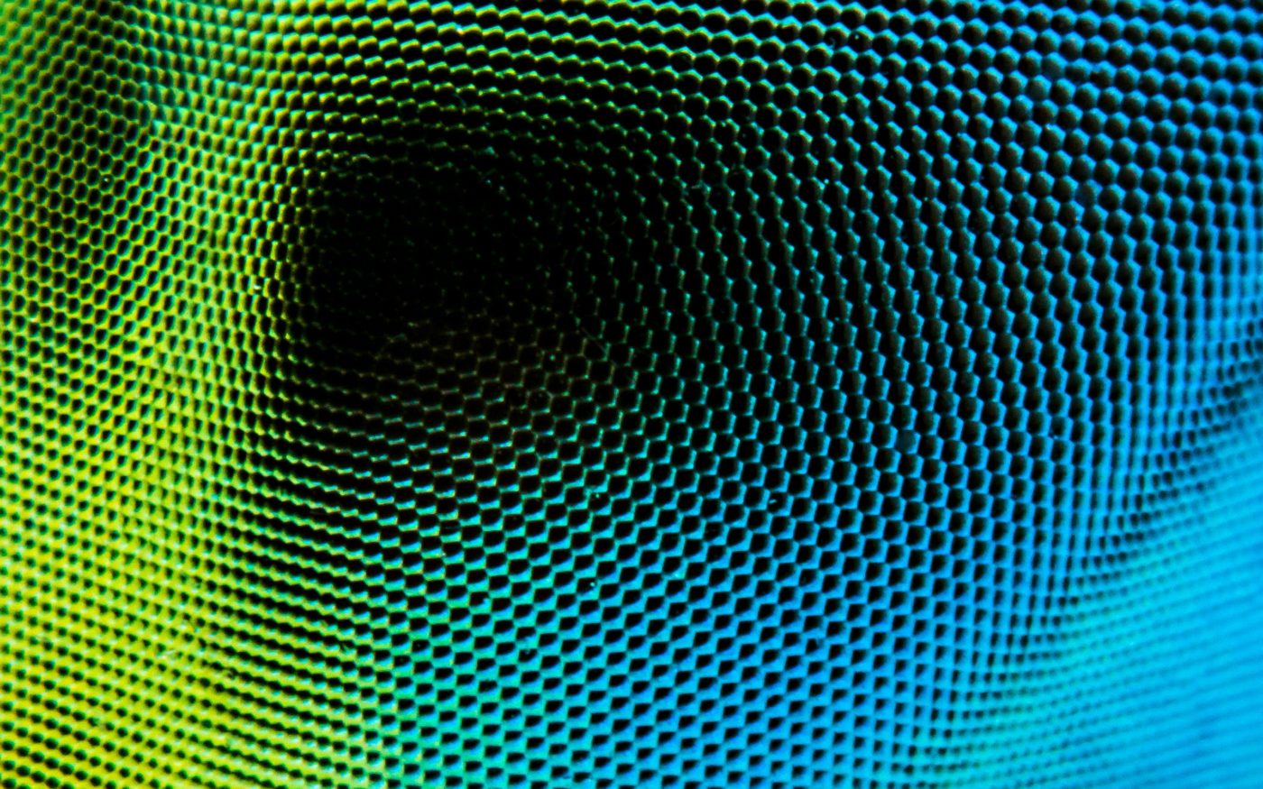 The facets of an emperor dragonfly’s eye in extreme close-up. The dragonfly was resting near a pond in the photographer’s home town of Palovec