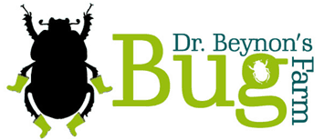 Dr Beynon's bug farm logo