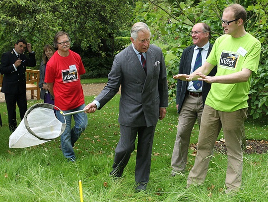 An image of Prince Charles using a sweep net, being instructed by Dr Luke Tilley