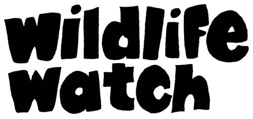 Wildlife Watch logo