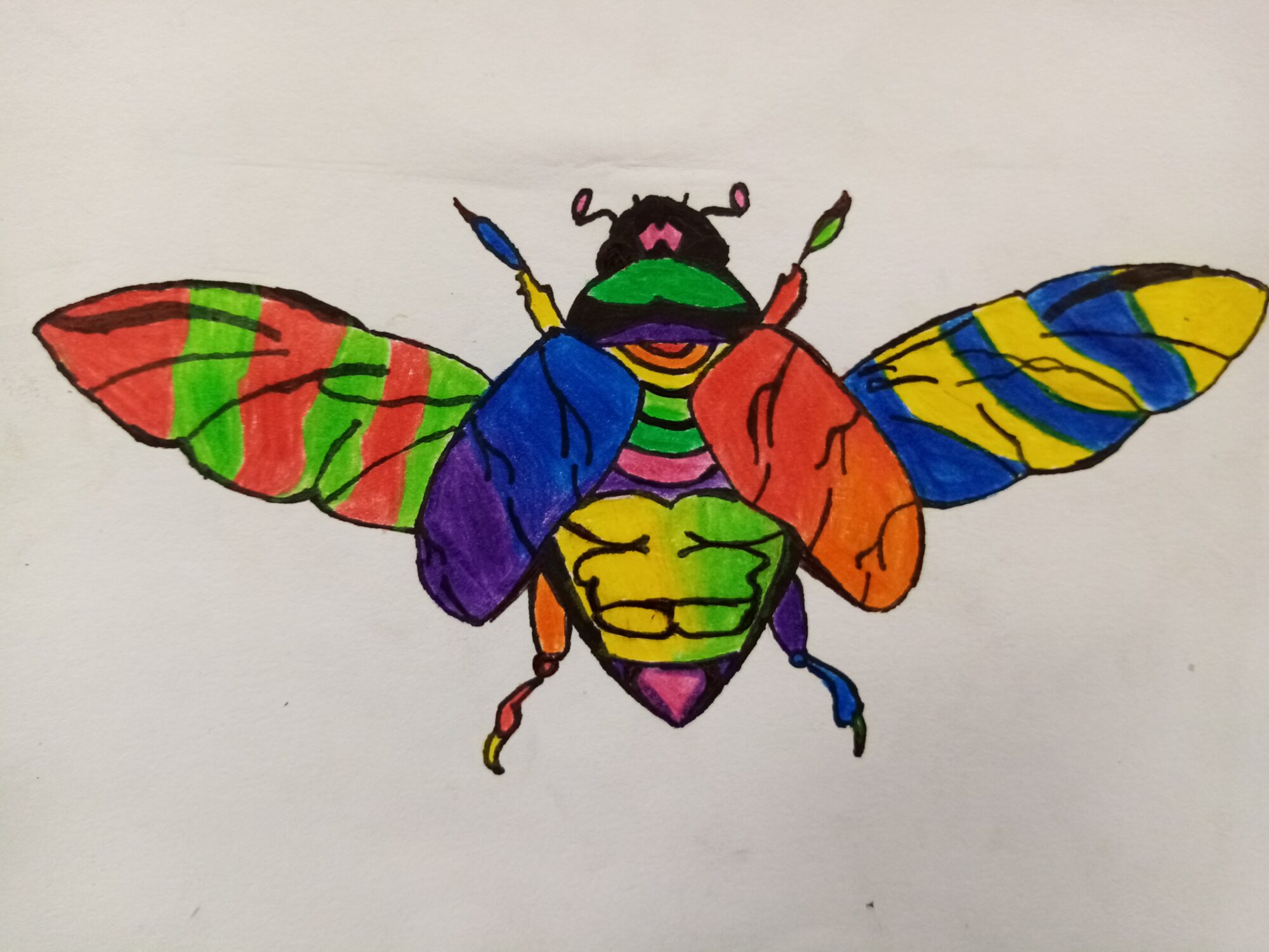2023 Art Competition Winners - Insect Week