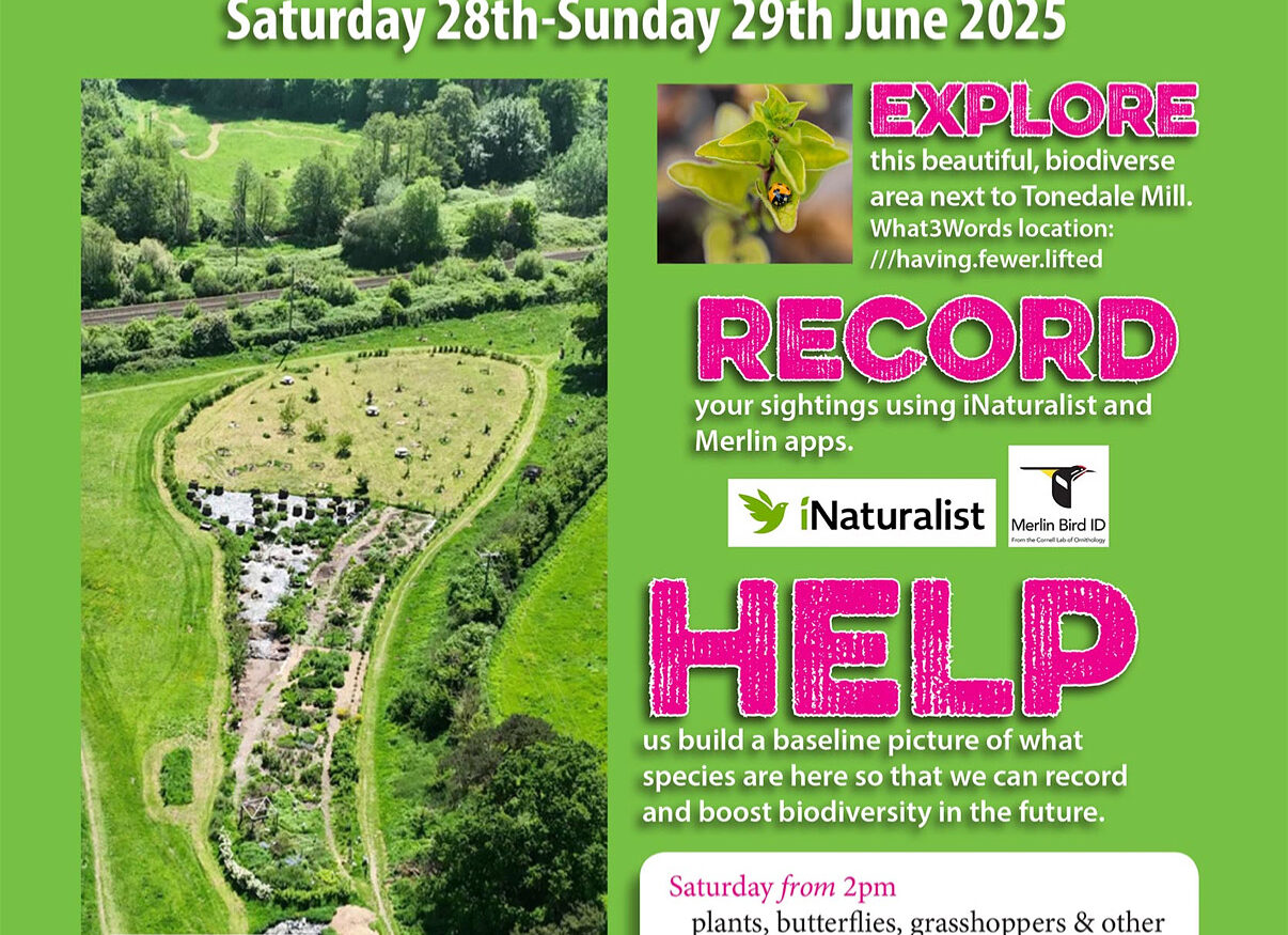 Poster for the bioblitz, shows date, abbreviated description, arial photo of Fox’s Field’s Forest Garden
