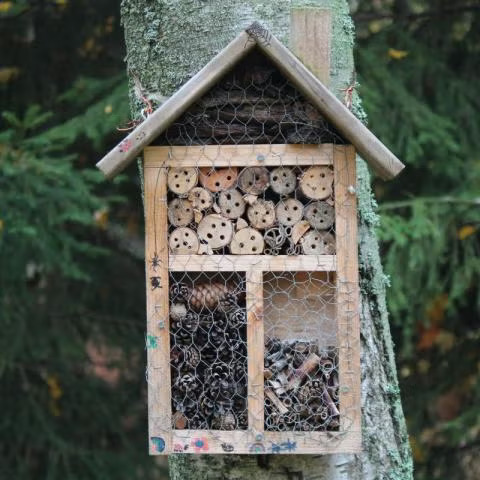 example bug hotel