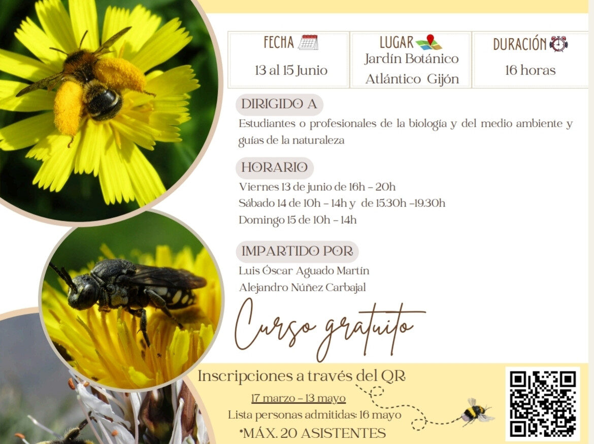 Poster announcing the first edition of the activity "Meet the bees of Asturias: Taxonomy and identification course". Photos of different bee species ilustrate the poster and accompany a short description of the course and a QR code.