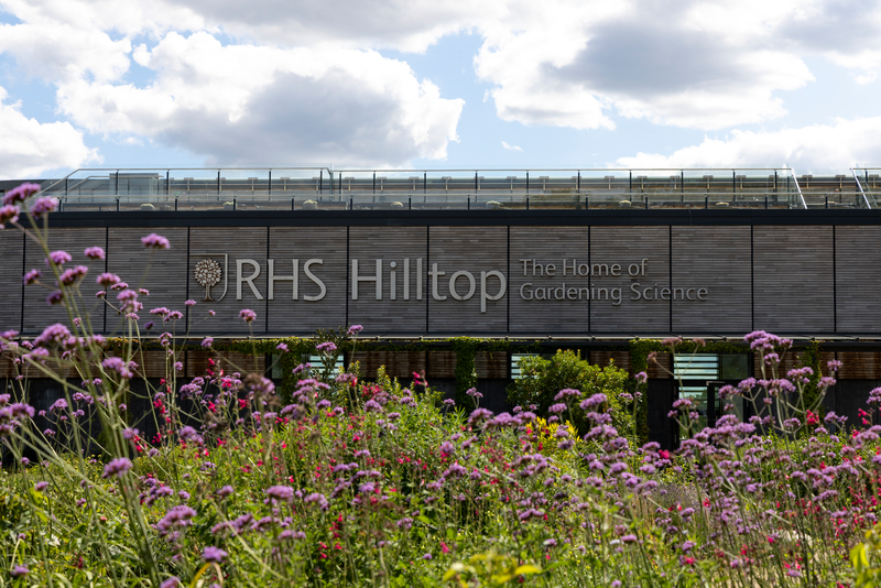 A modern building with the sign “RHS Hilltop – The Home of Gardening Science” across its façade, set behind a foreground of tall, flowering plants with purple blooms. The scene is outdoors under a partly cloudy sky, with the wildflower planting contrasting against the clean, contemporary architecture of the Hilltop building.