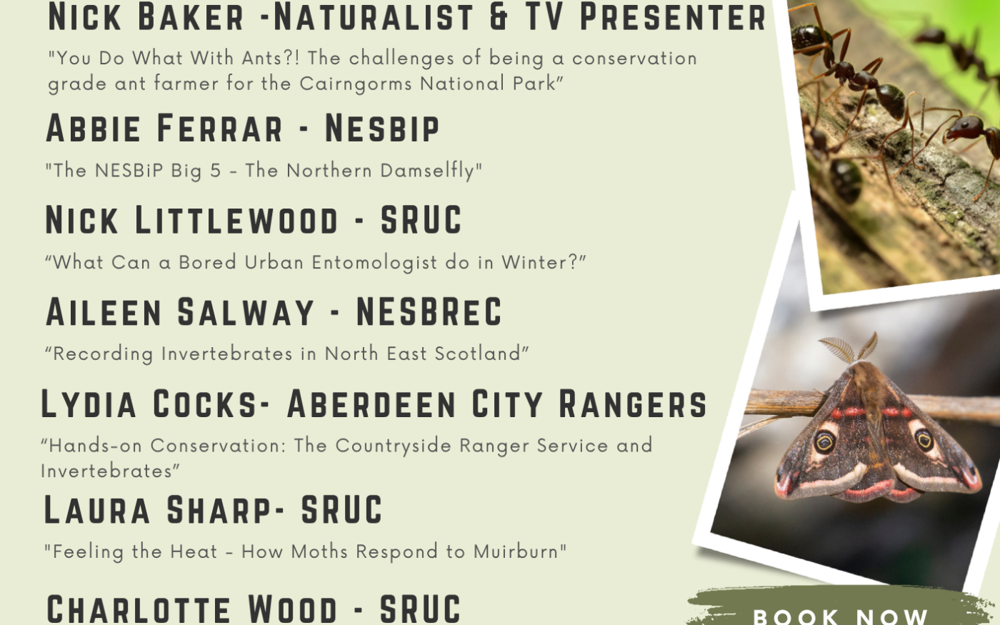 Flyer for Aberdeen Insect Week