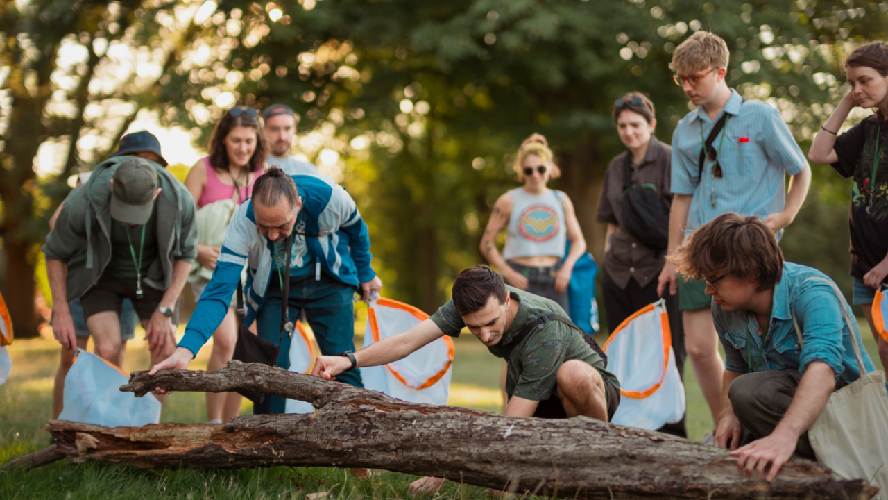 A group of people participating in an outdoor bug hunt, using nets and examining a fallen log.