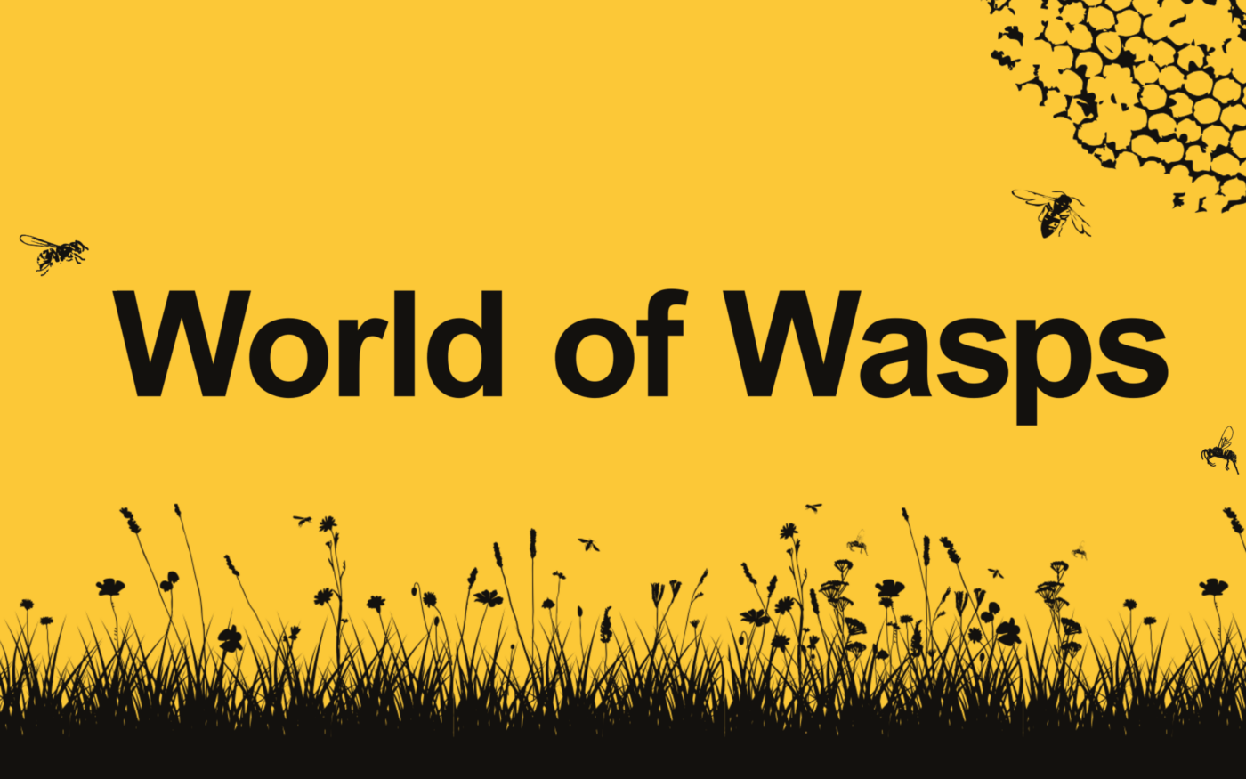 World of Wasps text, with wasps and foliage on a yellow background