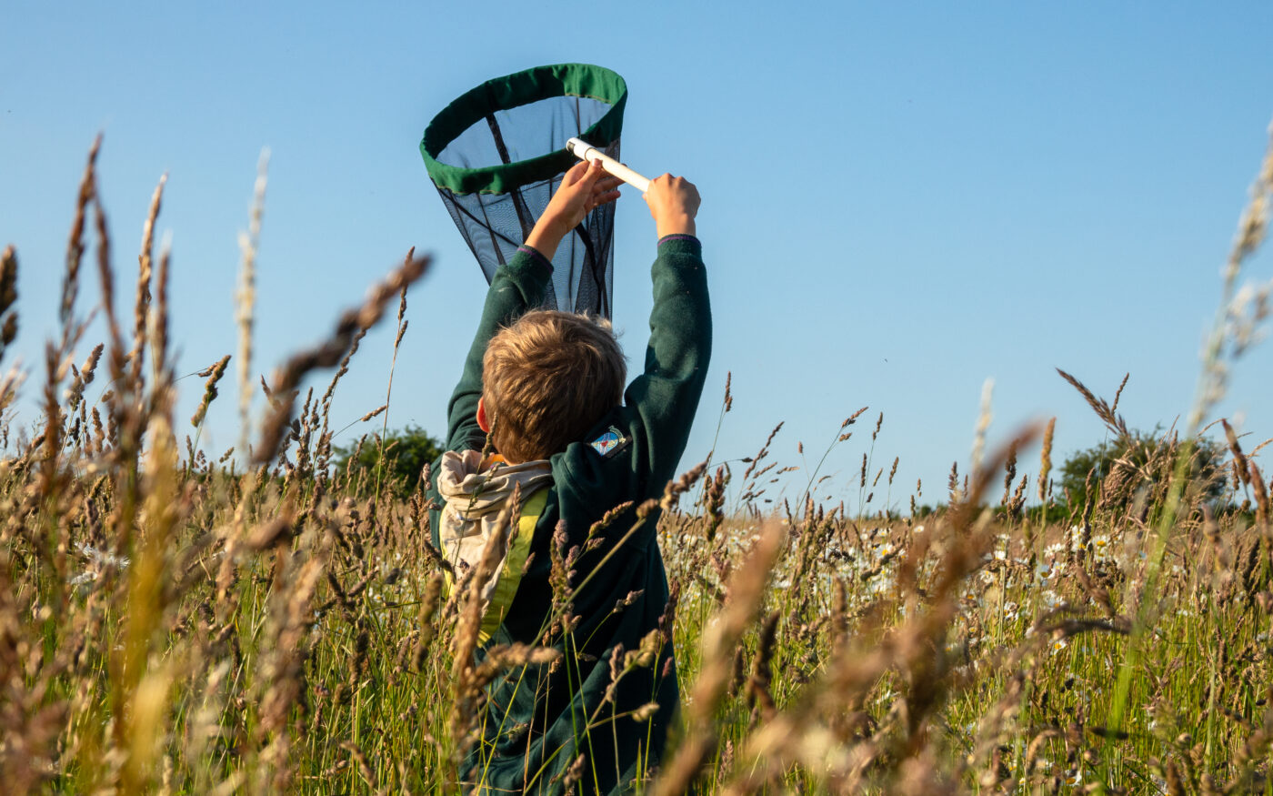 A child swings a net, trying to catch a flying insect