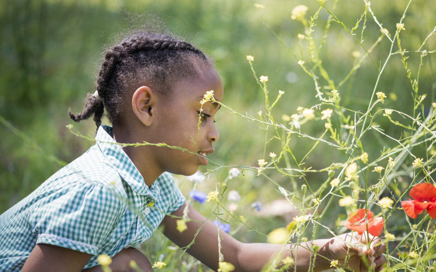 A young girl is crouching on the ground and looking at bright yellow flowers and poppies.
