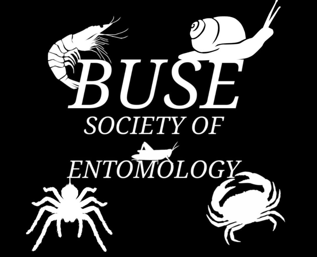 The logo for Bangor Entsoc