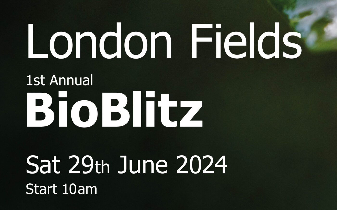 Flyer for BioBlitz event in London Fields depicting a snail on leaf