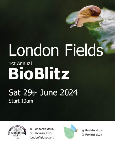 Flyer for BioBlitz event in London Fields depicting a snail on leaf