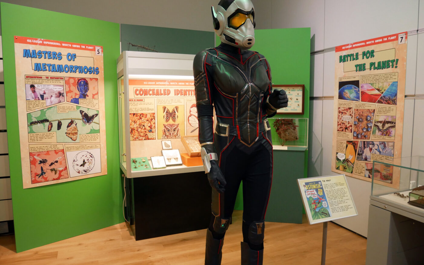 Cosplay costume of the Wasp with graphic panels and a display case behind it.
