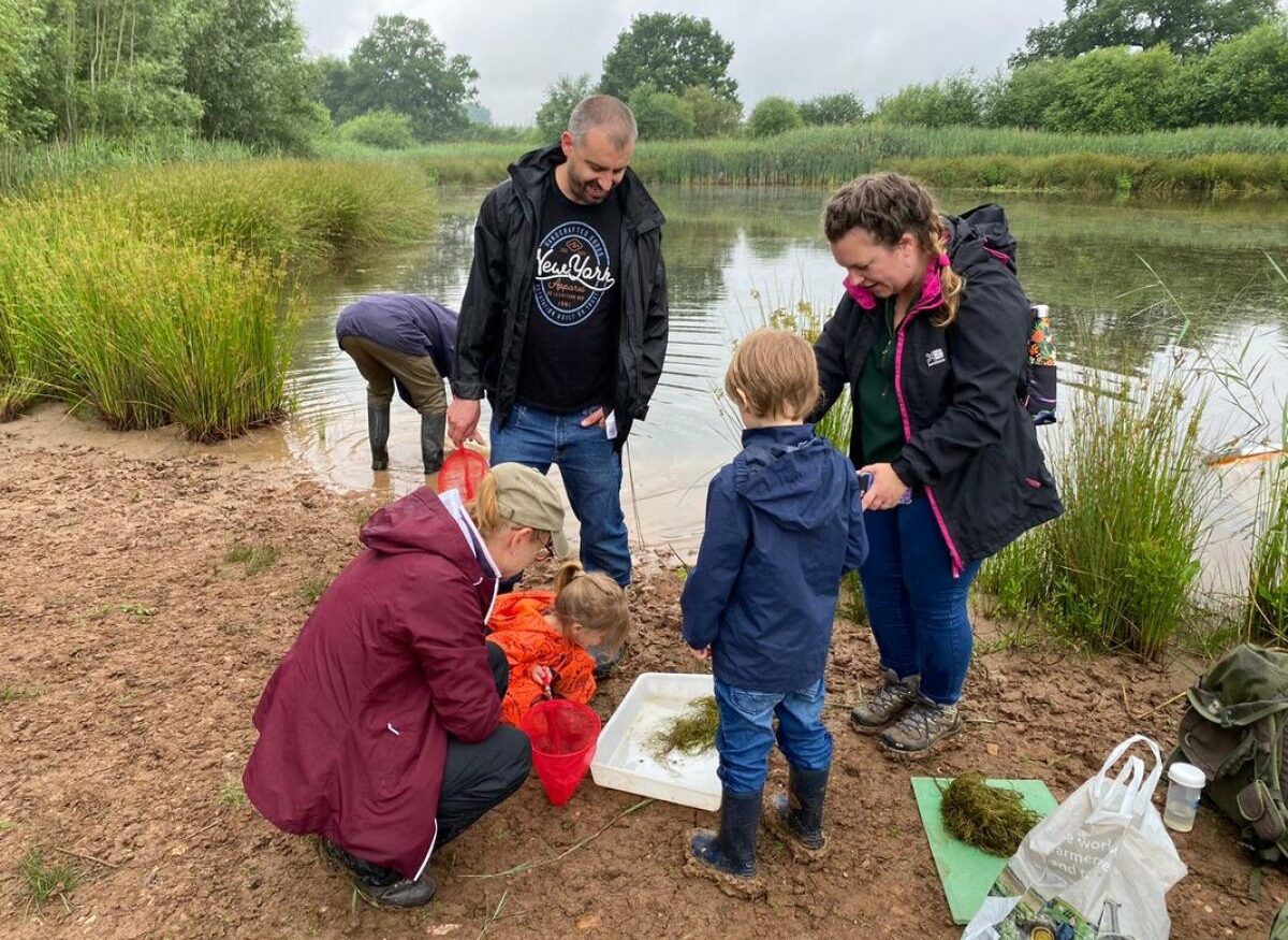 People at a lake during a bioblitz