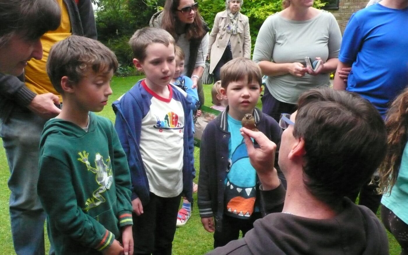 A group of children learning about a chaffinch that has just been caught in the bird-ringing demonstration.
