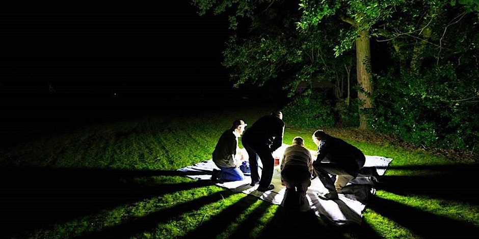 People in the forest by torchlight looking in the grasses