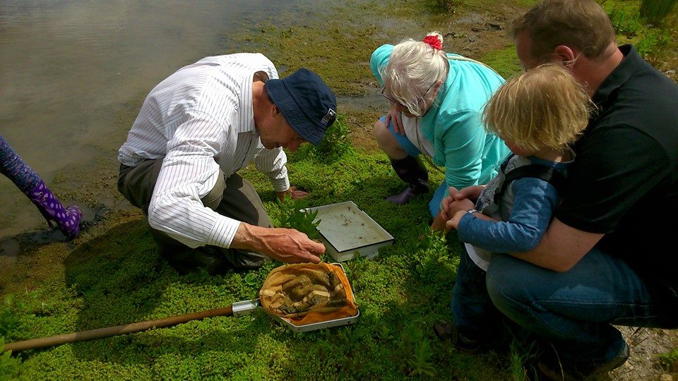 Group of people looking into a pond dipping net