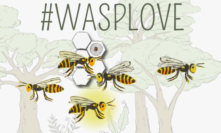 Wasp love logo